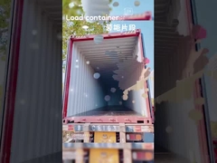 Wielokolorowy dziecięcy walizka 30L z uchwytem teleskopicznym